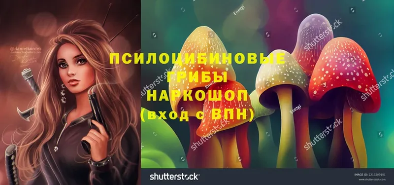 Псилоцибиновые грибы Magic Shrooms  Апатиты 